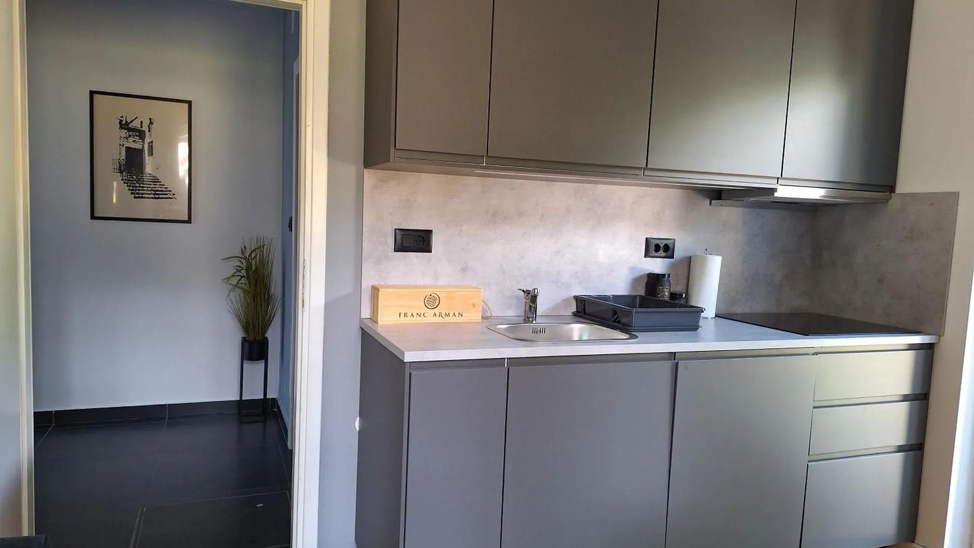 Apartment Vidak ラビン